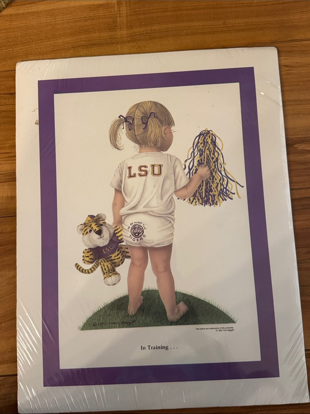 LSU Poster